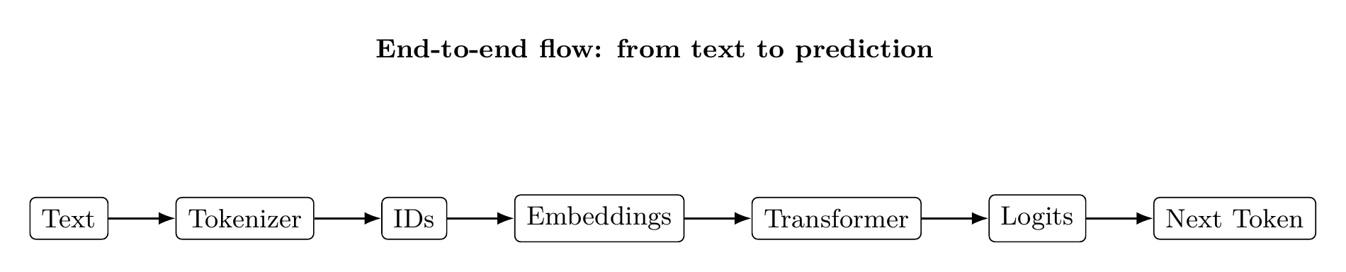 End-to-end flow from raw text to next token prediction